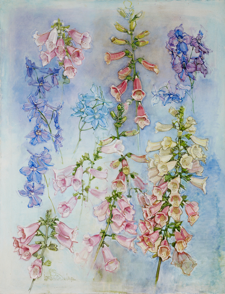  : Flowers : LOREN DUNLAP: An Archival Survey