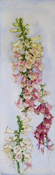  : Flowers : LOREN DUNLAP: An Archival Survey