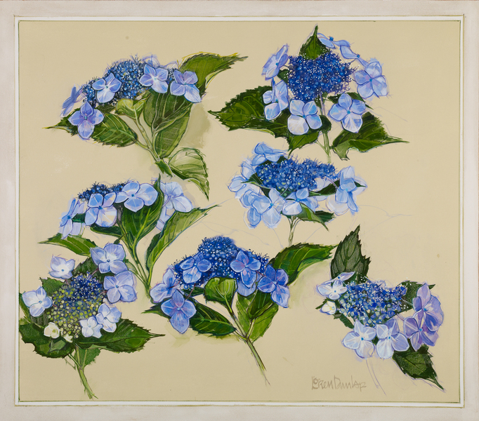  : Flowers : LOREN DUNLAP: An Archival Survey