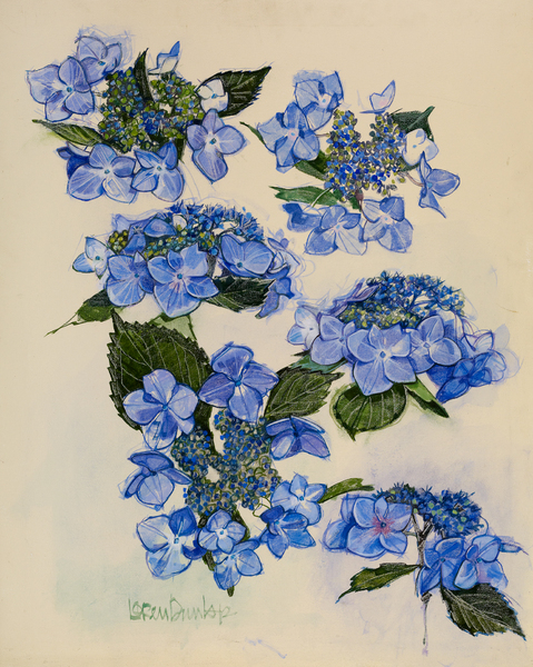  : Flowers : LOREN DUNLAP: An Archival Survey