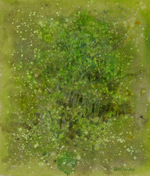  : Landscapes : LOREN DUNLAP: An Archival Survey