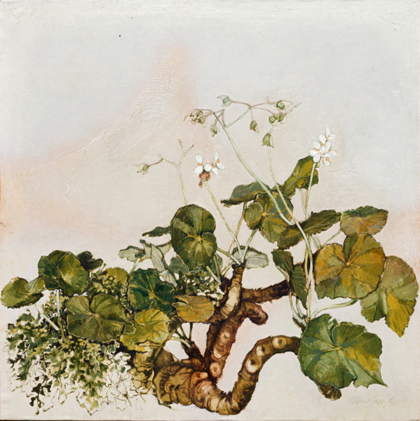  : Flowers : LOREN DUNLAP: An Archival Survey