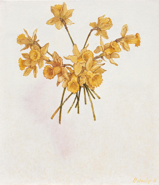  : ALL : LOREN DUNLAP: An Archival Survey