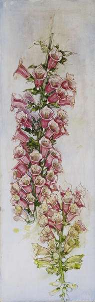  : ALL : LOREN DUNLAP: An Archival Survey