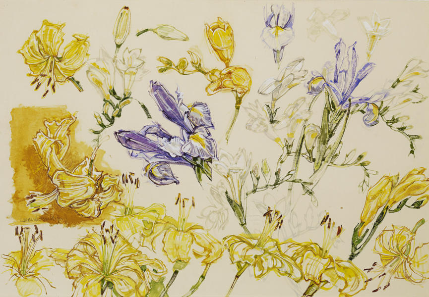  : ALL : LOREN DUNLAP: An Archival Survey