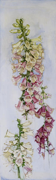  : ALL : LOREN DUNLAP: An Archival Survey