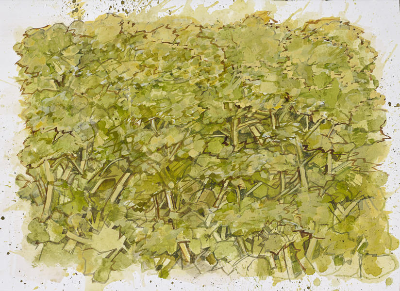  : ALL : LOREN DUNLAP: An Archival Survey